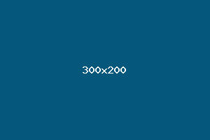 placeholder
