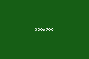 placeholder