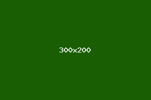 placeholder