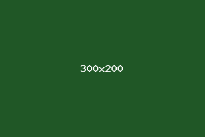 placeholder