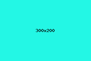 placeholder