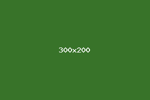 placeholder