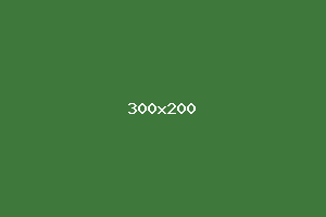 placeholder