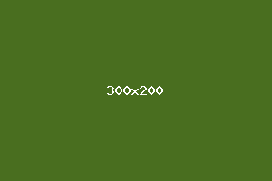 placeholder