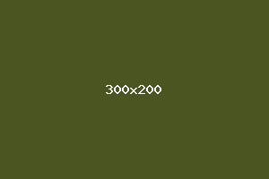 placeholder