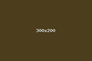 placeholder