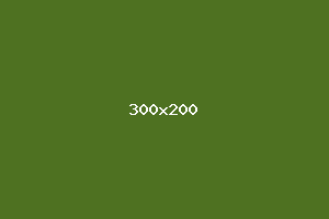 placeholder