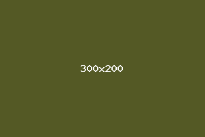 placeholder