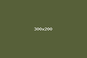 placeholder