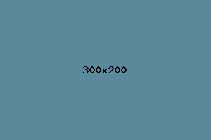 placeholder