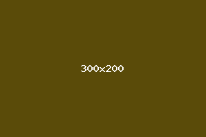 placeholder