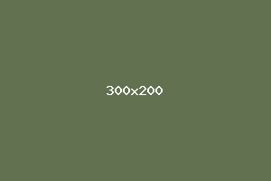 placeholder