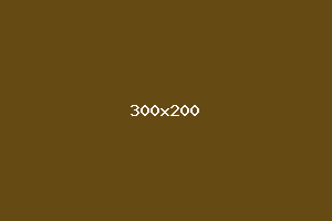 placeholder