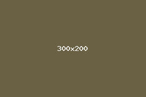 placeholder