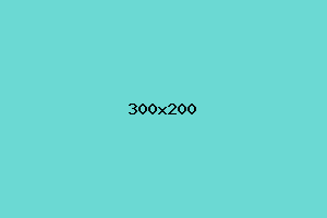 placeholder