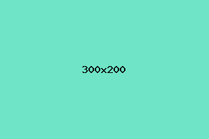 placeholder