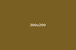 placeholder