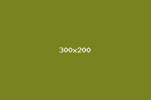 placeholder