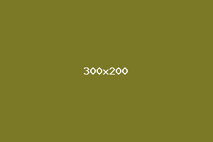 placeholder