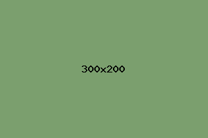 placeholder