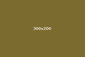 placeholder