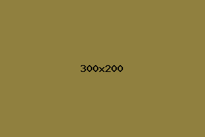 placeholder