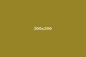 placeholder