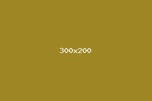 placeholder