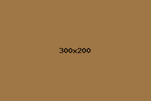placeholder