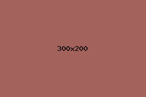 placeholder
