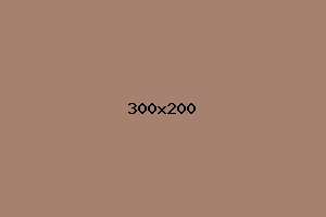 placeholder