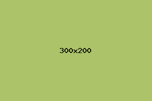 placeholder