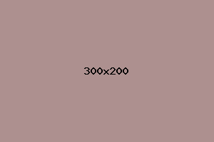 placeholder