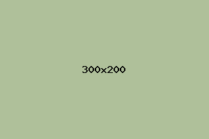 placeholder