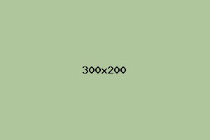 placeholder