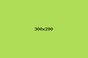 placeholder