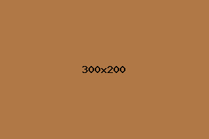 placeholder