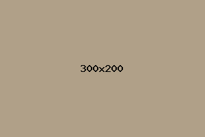 placeholder