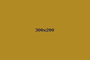 placeholder
