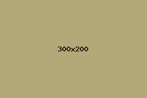 placeholder