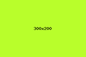 placeholder