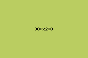 placeholder