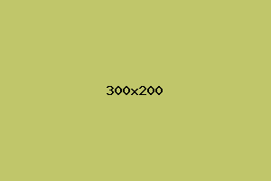 placeholder