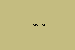placeholder