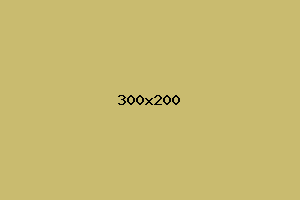 placeholder