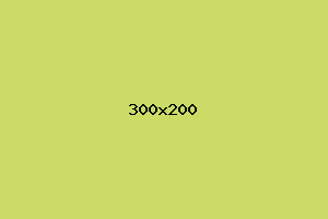 placeholder
