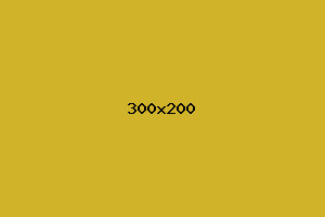placeholder