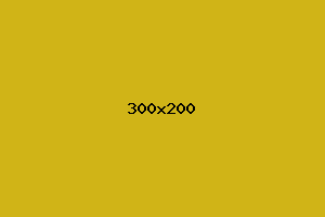 placeholder