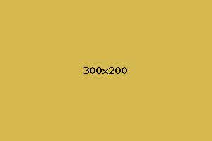 placeholder