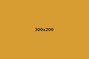 placeholder
